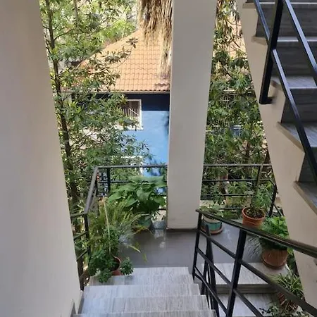 Apartment Folium *