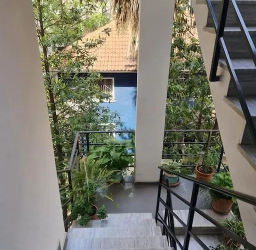 Apartamento Folium *